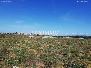 dar allouche terrain 180 m²