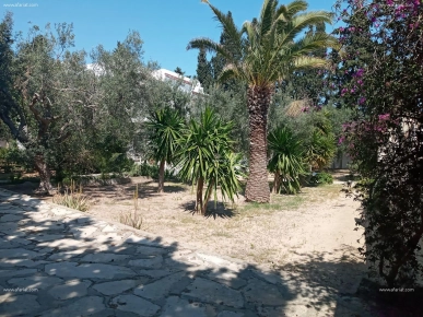 Villa vue de mer avec un grand jardin