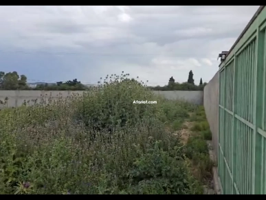 Un terrain de 1000m2 sur la route principale sidi younes