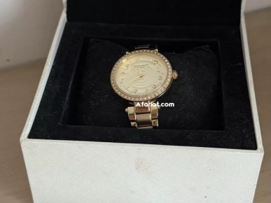 montre pierre cardin