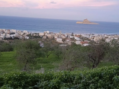 vente terrain d’une superficie de 950m² à Rafraf plage