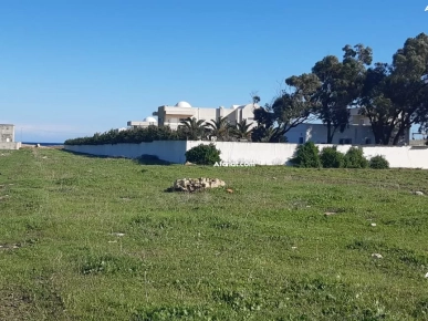 Terrain vue sur mer à dar Allouche kélibia Terrain vue sur mer à dar Allouche kélibia