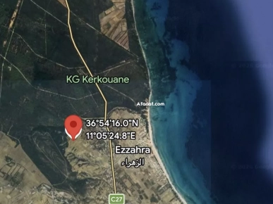 2 hectares à vendre à la montagne ezzahra nabeul