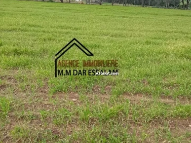 terrain près de la mer