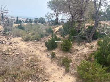 Terrain à Hammamet Zone touristique Hammamet nord