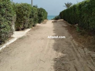 APPARTEMENT LES MIMOSAS Hammamet Nord AL2944