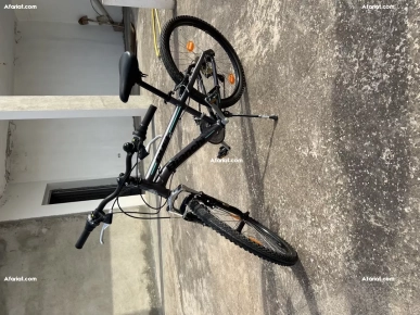 velo bianchi
