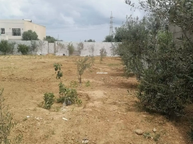 Soukra chotrana 3 coté restaurant el firma