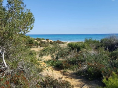 5 hectare par 5 personnes