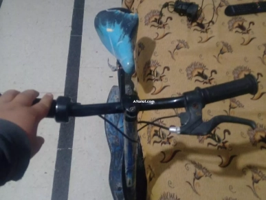 troutinette ilectric