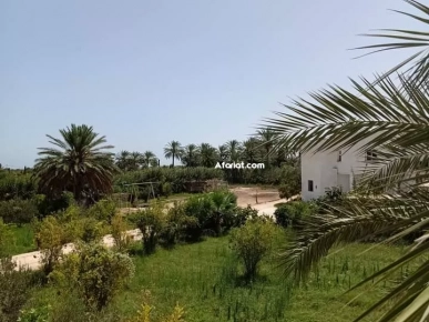 Belle villa sur un grand terrain Belle villa sur un grand terrain
