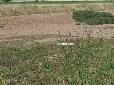 Terrain à vendre Raoued Terrain à vendre Raoued