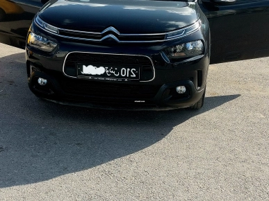 C4 cactus opportunité à saisir C4 cactus opportunité à saisir