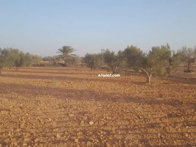 Terrain à vendre á Mellita Djerba