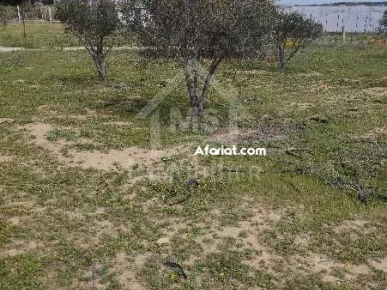 Un lot de terrain de 500 m² à vendre à 60 MD à Hammamet Sud
