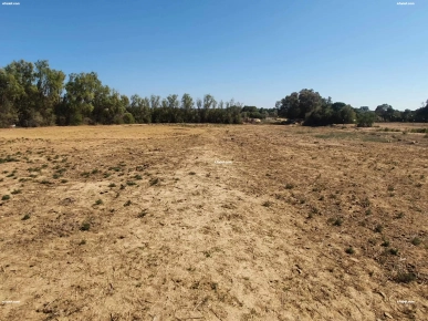 A vendre terrain à sidi Mansour hammem Ghzez