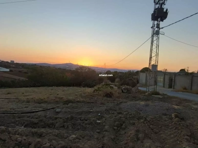RafRaf Ville