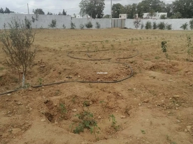 Soukra chotrana 3 coté restaurant el firma