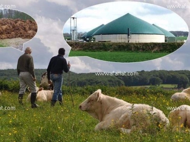 Nouveau projet  pour la production du biogaz verte