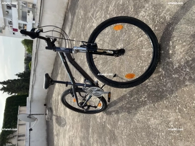 velo bianchi