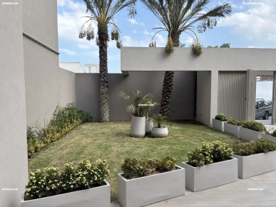 ✨ À Louer – Appartement S+1 haut standing (direct promoteur)✨