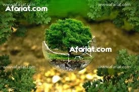 terrain a vendre 28.910817 terrain a vendre 28.910817