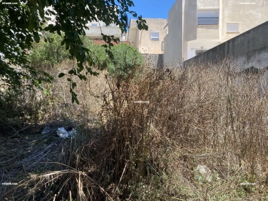 la marsa terrain à vendre