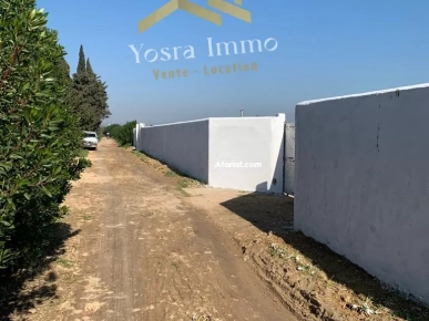 Ferme à Bizerte Ferme à Bizerte