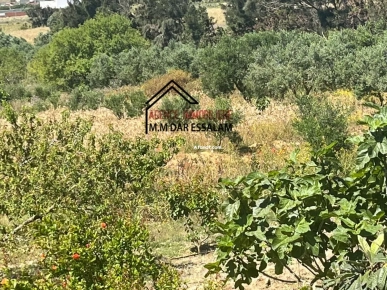 terrain avec une vue agréable à vendre