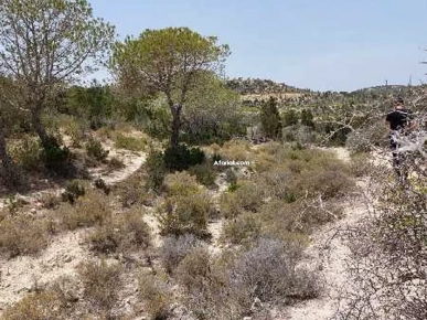 Terrain à Hammamet Zone touristique Hammamet nord