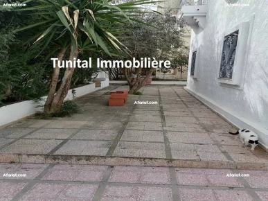 Mutuelle ville Tunis