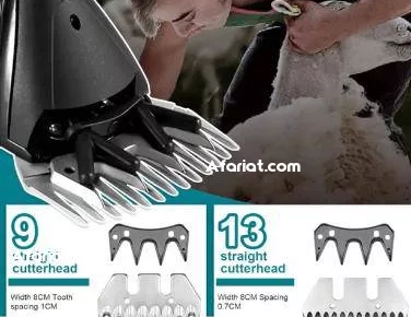 Tondeuse à moutons sans fil