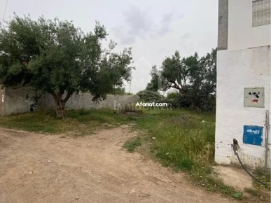 Lot de terrain de 250 m² à Hammamet à vendre 51355351