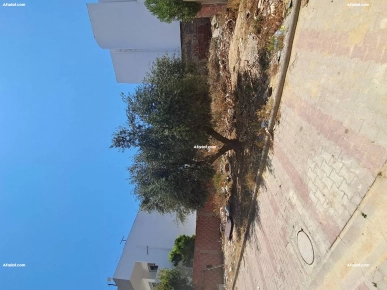 terrain a vendre Gammarth village