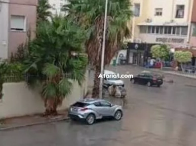 شقق مفروشة للايجار باليوم اسبوع في تونس العاصمة