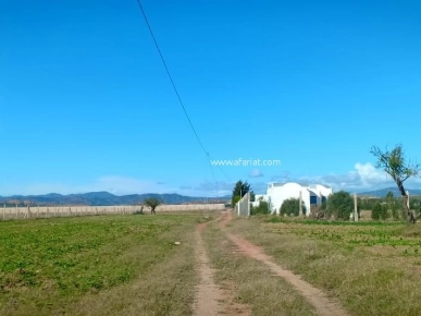 un terrain à El Hammamet