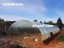 قطاع الفلاحة و تربية الماشية