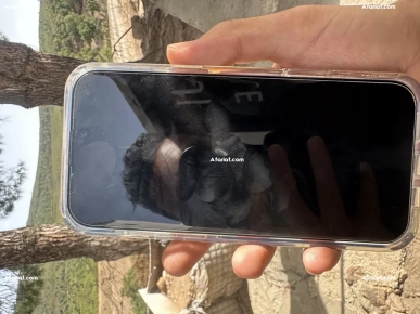 iphone 16 pro max a vendre