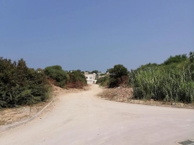 Gammarth Harrouch : A vendre terrain bon emplacement