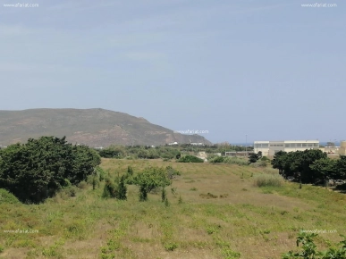 Un terrain à El Haouaria (chate geubli)