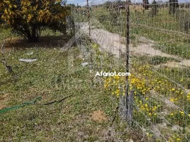Un lot de terrain de 500 m² à vendre à 60 MD à Hammamet Sud