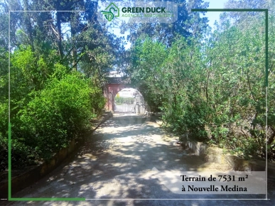 Terrain de 7531 m² à Nouvelle Medina Terrain de 7531 m² à Nouvelle Medina