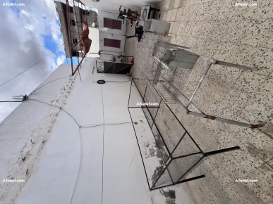 cage de lapin