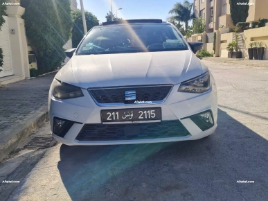 seat ibiza tt options