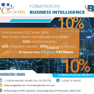 Formation professionnelle en BI Formation professionnelle en BI