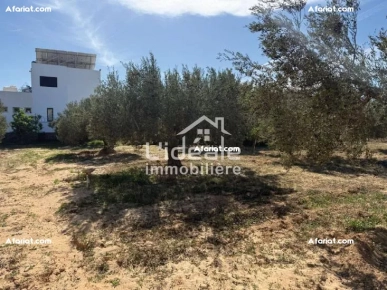 À vendre : deux terrains d’exception à Hammamet Nord