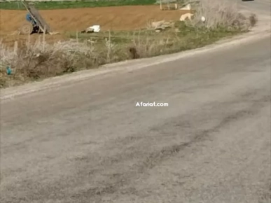 terrain sur la route principal