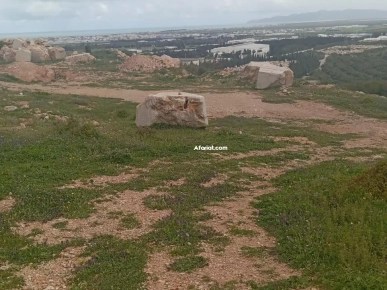 À Vendre – Terrain de 3,5 Hectares avec Gisement de Marbre – Proc