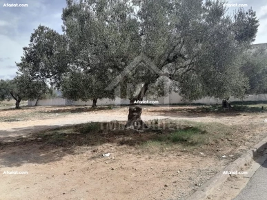 à vendre un superbe terrain à Manaret Elhammamet