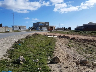 Terrains à kélibia sur la route principale au meilleur prix Terrains à kélibia sur la route principale au meilleur prix